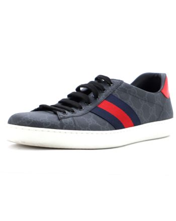 Ace Sneakers GG Coated Canvas